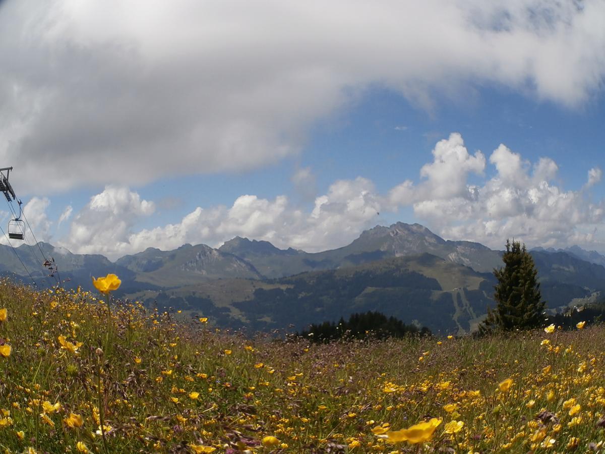 Altitude Lodge لي جيه المظهر الخارجي الصورة
